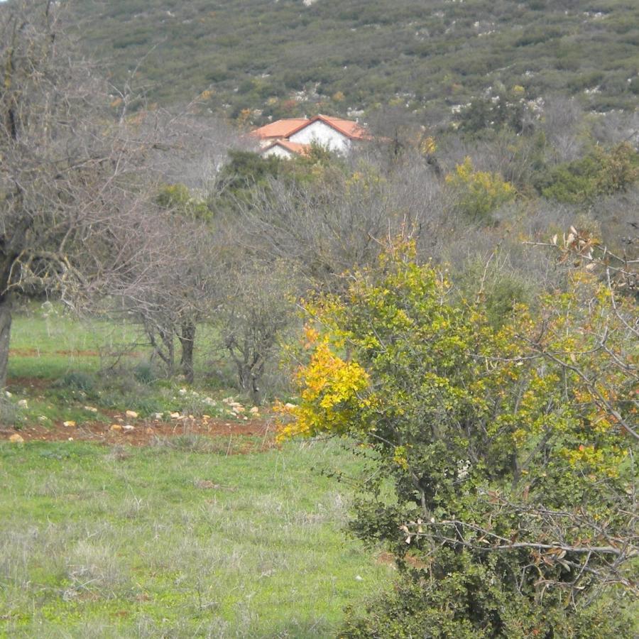 Stone House In A Quiet Landscape, Leonidion Villa Exteriör bild